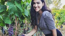 Pompeii Private Tour + Wine tour and tasting menu near Vesuvius