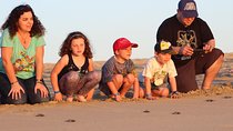 Cabo Turtle Release