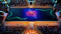 Xcaret Plus Park Tour with Transportation from Riviera Maya