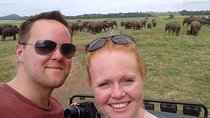 Highlights Of Sri Lanka- 7 Days Tour