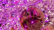 Budapest's Magical Christmas Markets