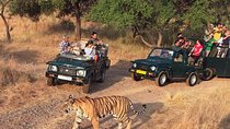 7-Days Golden Triangle with Ranthambore National park tour