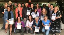 7 Day Kilimanjaro Climb Lemosho Route & 2 Day Safari