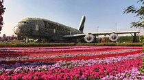 Dubai Miracle Garden Ticket with Transfer 