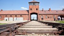 National Musuem Auschwitz from Krakow 5-8 people 