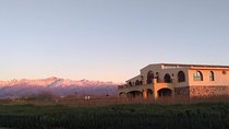Uco Valley - Altitud Vines