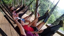 Tours to the Amazon - Indicchuris Jungle | Amazon Rainforest Tours