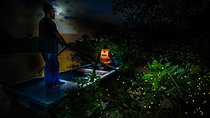 Fireflies Tour Include Seafood Dinner And Boat Ride