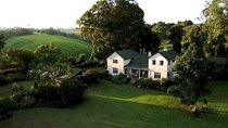 Day tour to Kiambethu tea farm in Limuru from Nairobi