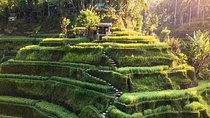 Ubud In On Day