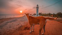 Sri Lanka North Tour
