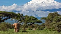 3 Days Amboseli National Park