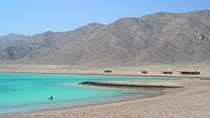 Abu Galoum Safari