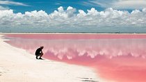 Adventour Day: Coloradas and Rio Lagartos Excursion from Cancun!