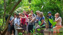 Adventure Of The Last Kingdom All Inclusive Show Excursion