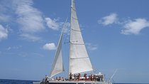 Private Catamaran Tour on Marlin del Rey