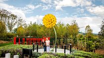 Private tour - Matakana Art & Wine Village