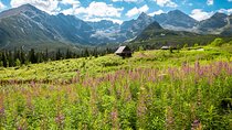 Zakopane & Tatra Mountains - Everyday Tour from Krakow
