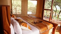 3 Day Samburu Game Reserve Tour from Nairobi