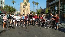 Full Day Bike Rental