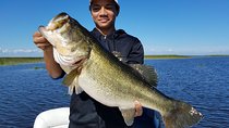 Lake Okeechobee Fishing Trips Near Palm Beach Florida