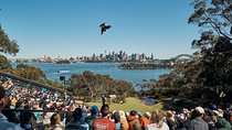 Sydney Taronga Zoo's Aussie Backyard Adventure Tour