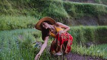 Bali Full Day Tour: Highlights of Ubud and Hidden Waterfall
