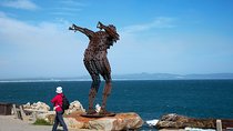 Full Day Hermanus and Winelands Tour