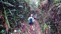 Hiking Mountains and Magical Forests
