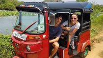 Village tour Sigiriya Rock, Pidurangala Rock and Dambulla temple 