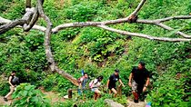 Trekking Colomitos - Madagascar