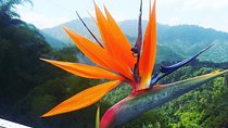 Blue Mountain Path Finder
