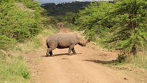 Nairobi National Park Private Safari