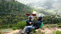 Zipline Cape Town - From Foot of Table Mountain Reserve 
