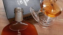 Private Tour to Congnac/Brandy Factory and Organic Wine Tasting in Wine Bar