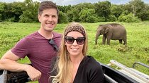 Minneriya National Park Private Jeep Safari from Habarana