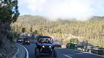 Buggy Safari Adventure 700cc