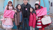 Harajuku Kawaii Tour(Private Tour)