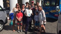 Buddle's Taxi and Tours 