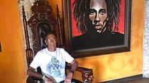Private and customizable Ocho Rios day tour