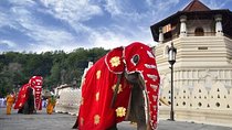 All Inclusive Kandy Private Day Tour From Colombo and Negombo