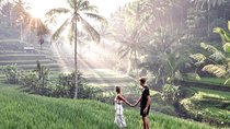 Le Meilleur d'Ubud avec Guide Francophone: Cascade, Rizière, Temple, Café Tour