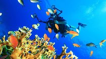 Discovering the Depths: Scuba Diving Tour from Antalya