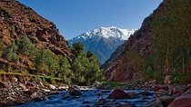 1 Day Ourika valley Excursion - Private (2 pers minimum)