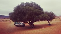 Agadir Trip To Mini Desert / Safari Tour