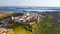 Wine Experience in Evora