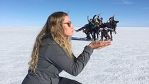 Salt Flats And Colored Lagoons 3d 2n Tour + Transfer to San Pedro de Atacama 