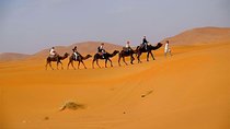 4 days Marrakech Desert Tour to Fes via Merzouga 