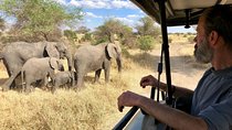 Kilimanjaro: Lemosho Route and Camping Safari