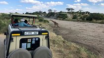 Kilimanjaro: Marangu Route and Camping Safari